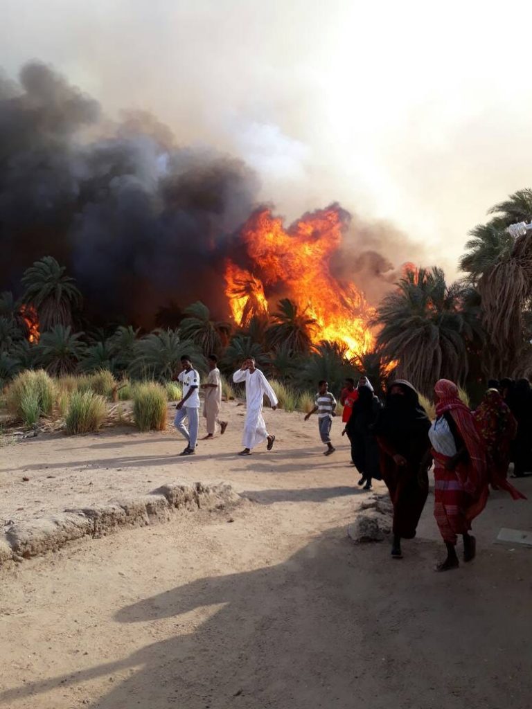 حريق هائل في “أبو فاطمة” بالشمالية يقضي على ٤ آلاف نخلة