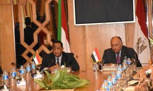 غندور وشكري يتفقان على تعزيز التقارب والتكامل بين مصر والسودان في المجالات كافة