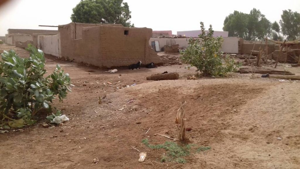 انهيار مئات المنازل بريف مروي بسبب تسرب مياه مشروع يمتلكه قياديون بالحزب الحاكم 