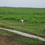 تحالف التغيير الجذري يرفض «ورشة القوانين المستعجلة» ويصفها بمحاولة لتصفية مشروع الجزيرة والمناقل