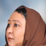 إصلاح الجيش يجري الآن بأيدي عمرو!