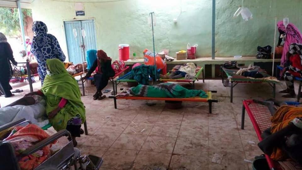 ولاية الخرطوم تعلن خلو الولاية من حمى (الشيكونغونيا)
