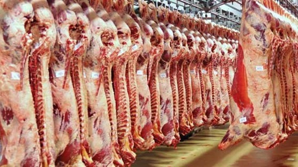 مشكلة تصدير اللحوم المبردة تتفاقم وتدخل شهرها الثاني