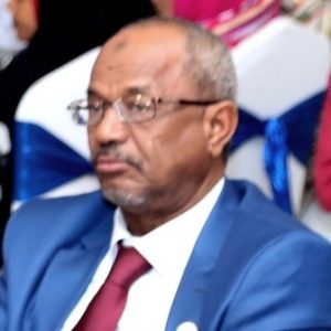 تعيين عبد الله جاد الله مديراً عاماً لوكالة السودان للأنباء