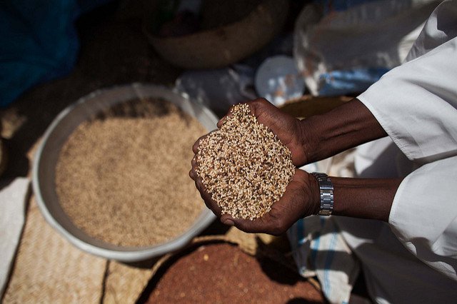 (أوتشا ) تتوقع تدهور الأمن الغذائي في السودان إلى مرحلة الأزمة