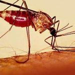 وزارة الصحة: تسجيل 50 ألف إصابة بالملاريا في البلاد