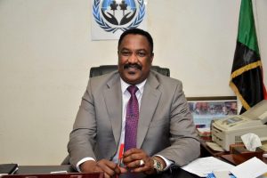 أمين المغتربين: معاناة السودان من الهجرة غير الشرعية ثلاثية الأبعاد