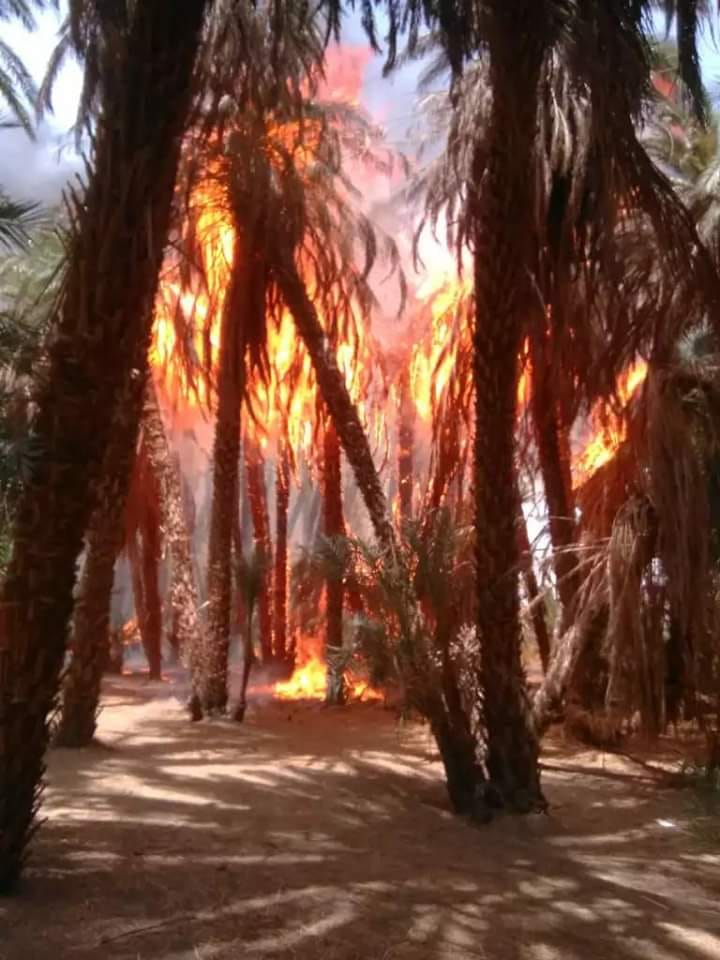 حريق في الشمالية.. الصحفي سيد مراد يطلق صرخة استغاثة: آخ.. قريتي عدو تحترق.. ما أقسى الوجع