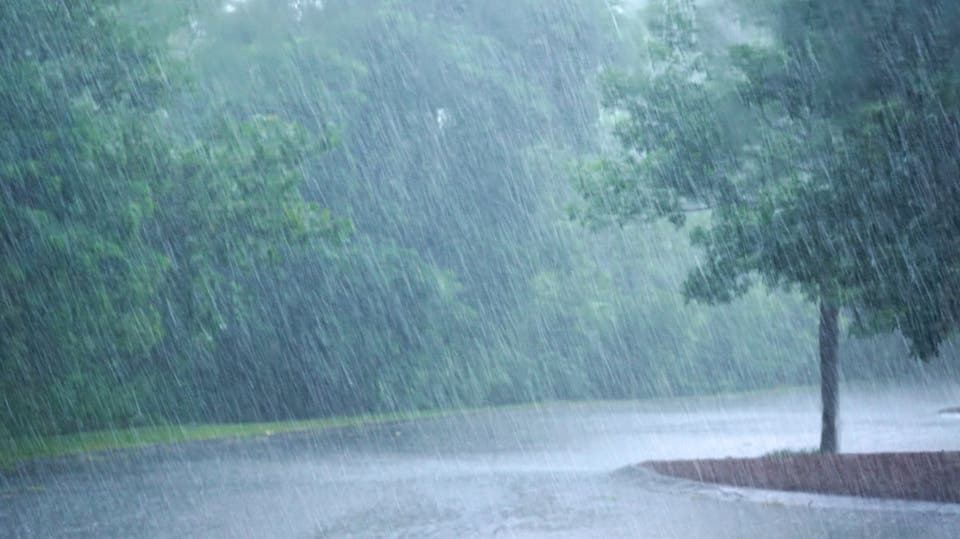 الأرصاد الجوية: أمطار الأمس واليوم خارج مراصدنا