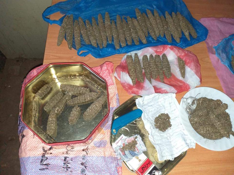 حملات ضد مروجي ومتعاطي المخدرات بمحليات ولاية الخرطوم