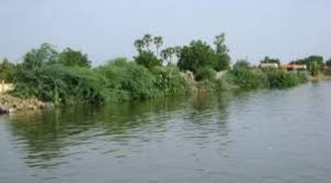 فيضان النيل يدمر 26 منزلاً بقرية دال في محلية حلفا