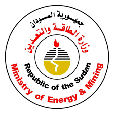 وزارة الطاقة تلغي عطاء استيراد باخرتين بنزين وتعيد طرحه مجدداً