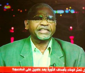 اللواء عبد الهادي يدعو لإسقاط الثورة