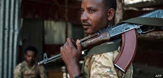 حشود عسكرية اريترية علي الحدود الإثيوبية قبالة “الفشقة الصغري”
