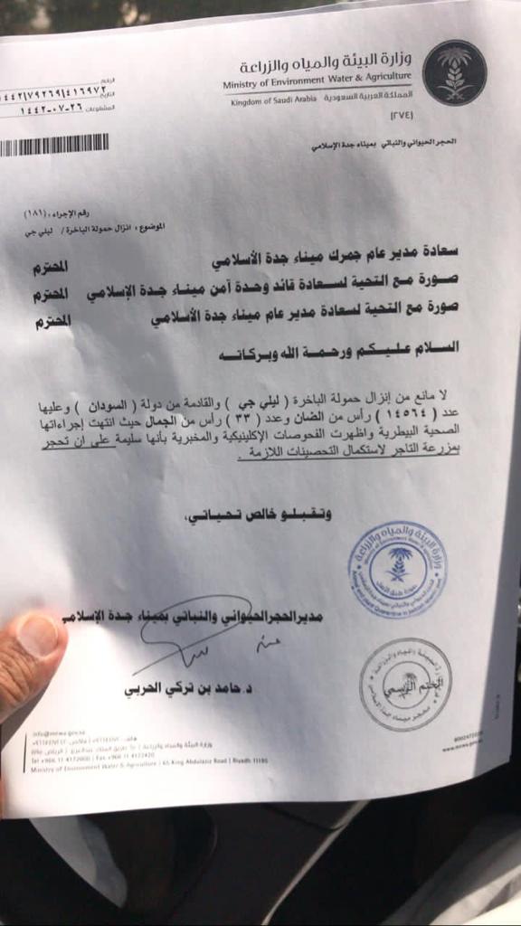 عقب زيارة حمدوك: السلطات السعودية تسمح بإنزال شحنة صادر مواشي سودانية