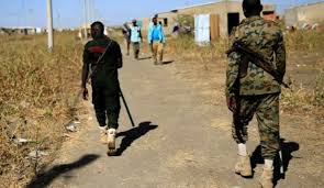 القبض على قائد ميليشيا إثيوبية ومعاونيه داخل الاراضي السودانية