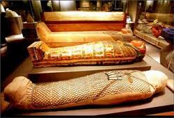 نقل المومياوات الفرعونية إلى متحف الفسطاط