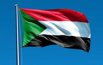 عقدوا اجتماعا بالرياض … أصدقاء السودان يدينون أعمال العنف في مواجهة المتظاهرين ويطالبون بتحقيقات مستقلة لمحاسبة المسؤولين