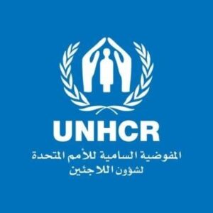 مفوضية اللاجئين: أكثر من 60 ألف سوداني فروا من الصراع إلى وادي حلفا