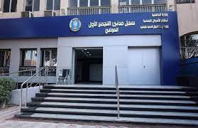 إدارة الجوازات تنفي ماراج غن التقديم للجواز السوداني عبر رابط الكتروني