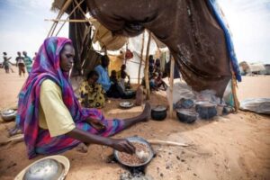 المرصد الديمقراطي لحقوق الإنسان بدارفور: استمرار الحرب يهدد حياة  النازحين وينذر بالمجاعة