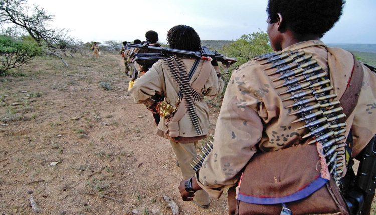 الشفتة الإثيوبية تتعدى على أراضي بمحلية القريشة بولاية القضارف