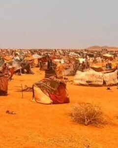 1430 حالة إصابة بالكوليرا في منطقة طويلة بولاية شمال دارفور