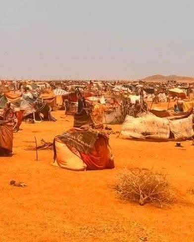 1430 حالة إصابة بالكوليرا في منطقة طويلة بولاية شمال دارفور