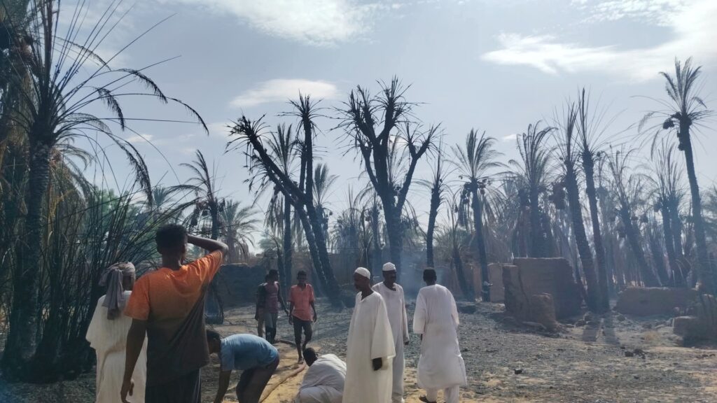 اندلاع حريق هائل في عدد من مزارع النخيل بمنطقة الباسا بالولاية الشمالية