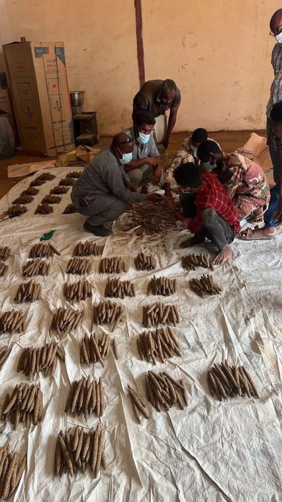 مكافحة التهريب بالشمالية تحبط تهريب (46) ألف قندول(بنقو)