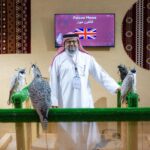 المزرعة الإنجليزية “فالكون ميوز” تُشارك بـ 100 صقر في المزاد الدولي لمزارع إنتاج الصقور بالرياض
