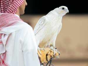 بيع أغلى صقر في المزاد الدولي لمزارع إنتاج الصقور في الرياض بأكثر من 319 ألف دولارًا أمريكيًا