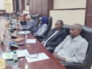 الخرطوم تستنفر الجهود الرسمية والشعبية والمنظمات للحد من انتشار حمى الضنك