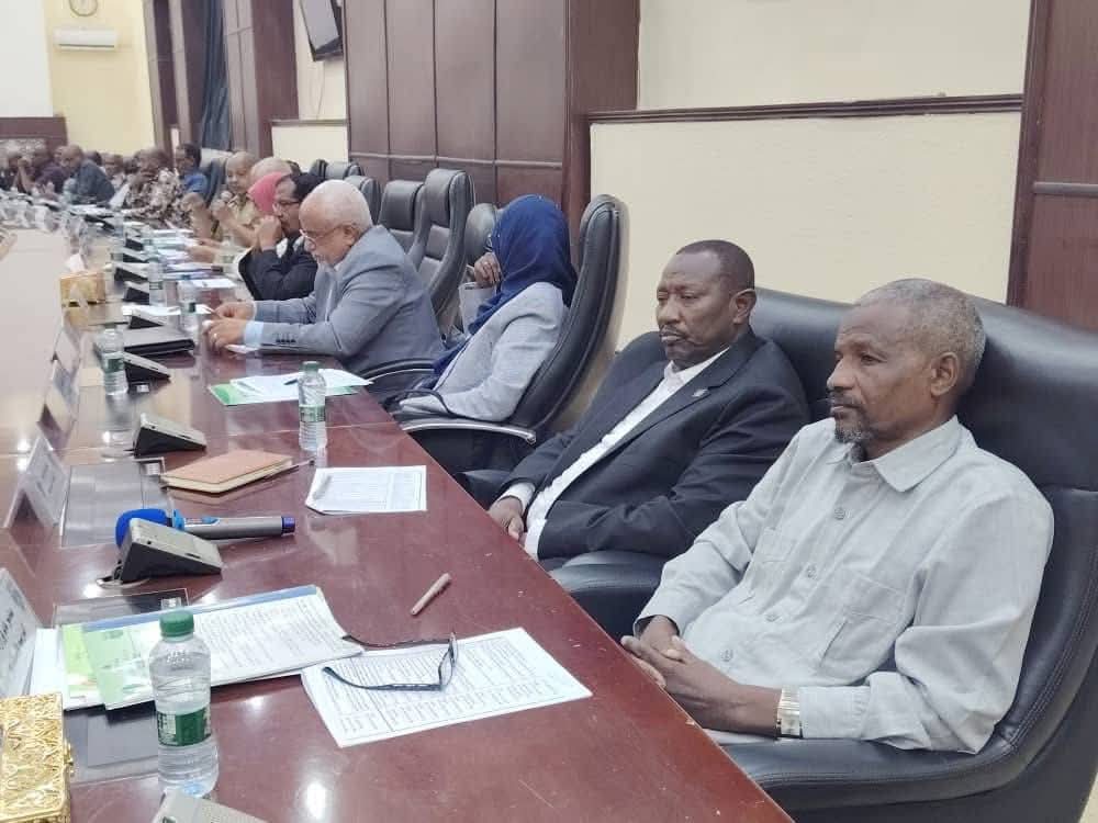 الخرطوم تستنفر الجهود الرسمية والشعبية والمنظمات للحد من انتشار حمى الضنك
