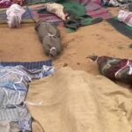 المشتركة: مقتل أكثر من ٧٠ مصلي إثر استهداف الدعم السريع لمسجد بالفاشر