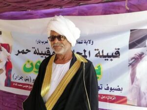 تبادل الاتهامات بشأن مقتل ناظر قبيلة المجانين