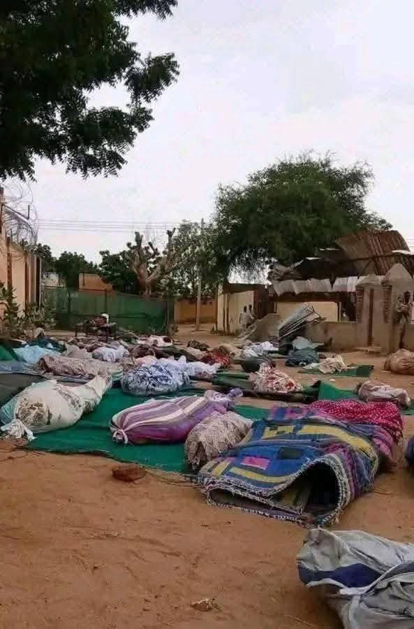 مسؤولة أممية: الفاشر تنزف والمساءلة هي السبيل الوحيد لمنع تكرار هذه الفظائع