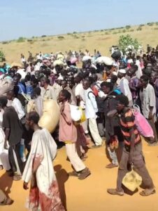 المنظمة الدولية للهجرة: الوضع في الفاشر مفزع وغير آمن