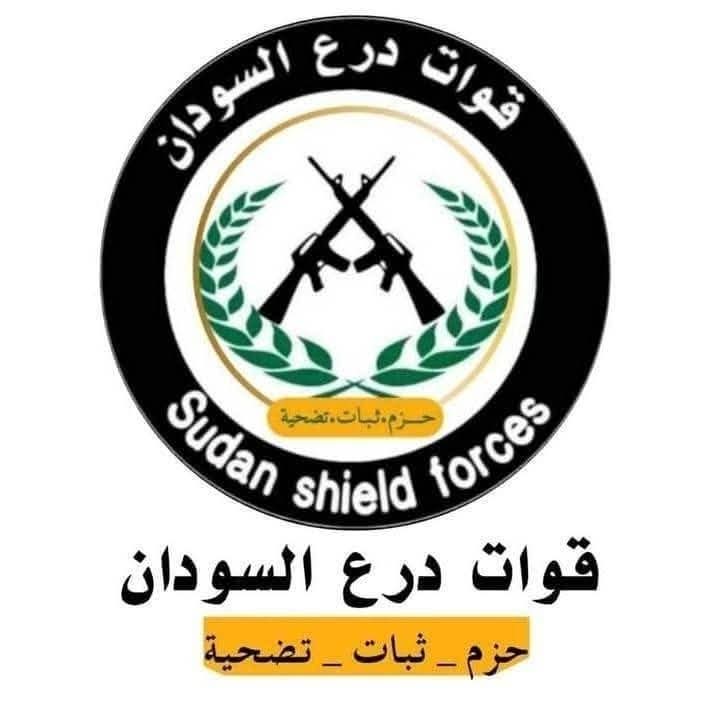 قوات درع السودان توضح ملابسات حادثة مستشفى ود مدني