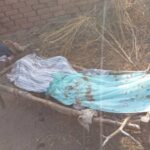 الحركة الشعبية: مقتل(١٢) مدني جراء قصف الجيش  “بيام جلد” بمقاطعة الدلنج