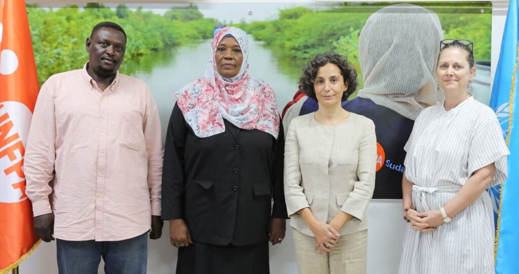 المجلس القومي للسكان وUNFPA يبحثان دعم قضايا السكان بعد الحرب