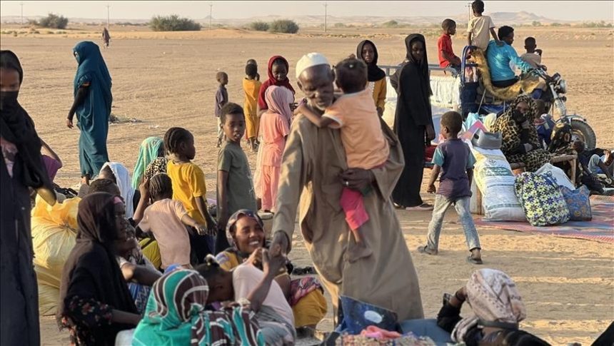 منظمة الهجرة الدولية: نزوح أكثر من 88 ألف شخص من كردفان