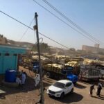 ارتفاع وارد محصول الذرة بسوق القضارف