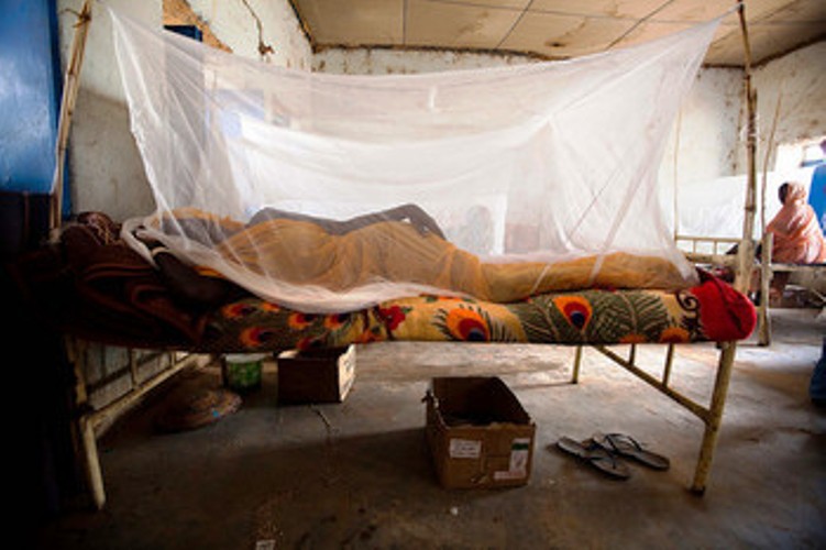 صحة الخرطوم: تسجيل (10,361)إصابة بالملاريا و(467) بحمى الضنك