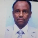 لماذا ينجح السوداني فردا ويفشل السودان دولة؟.. قراءة في أزمة العقل الجمعي وغياب الدولة المؤسسية