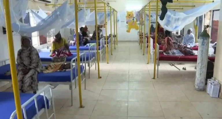 صحة الشمالية: ارتفاع حالات الإصابة بحمى الضنك في الولاية إلى 127 إصابة