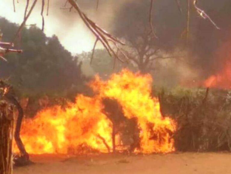 احتراق 903 منزل وتضررأكثر من 1000 أسرة إثر حريق بمعسكر طويلة للنازحين بدارفور